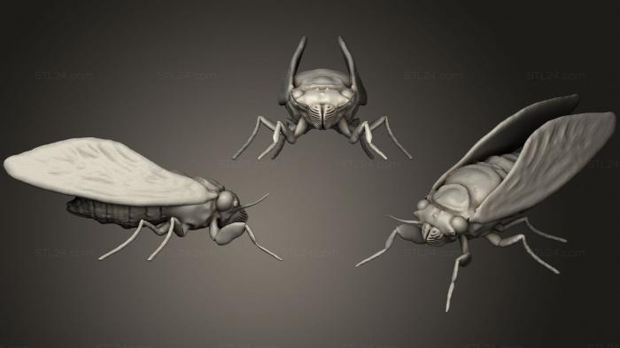 Animal figurines (Cicada 2, STKJ_2021) 3D models for cnc